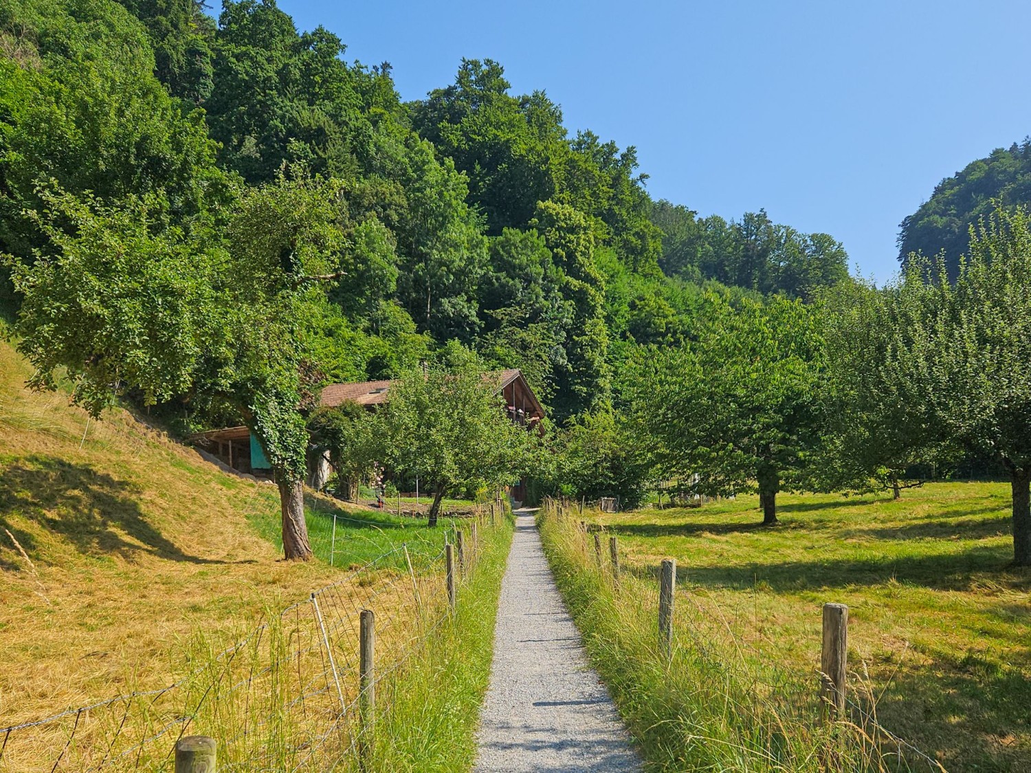 On rejoint l’entrée des gorges en longeant des prairies.