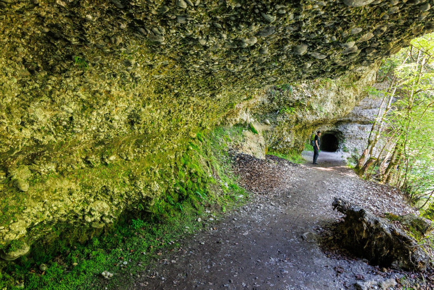 Drei Tunnels führen Wandernde sicher durch die Nagelfluhfelsen am Sihlsprung.