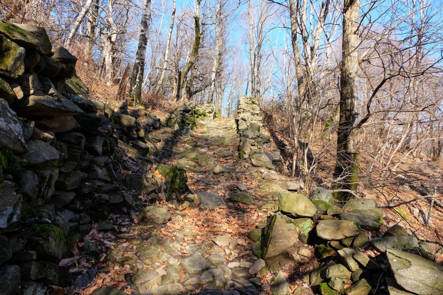 Dalla frazione di Soresina si sale verso il Monte Ceneri lungo la mulattiera.