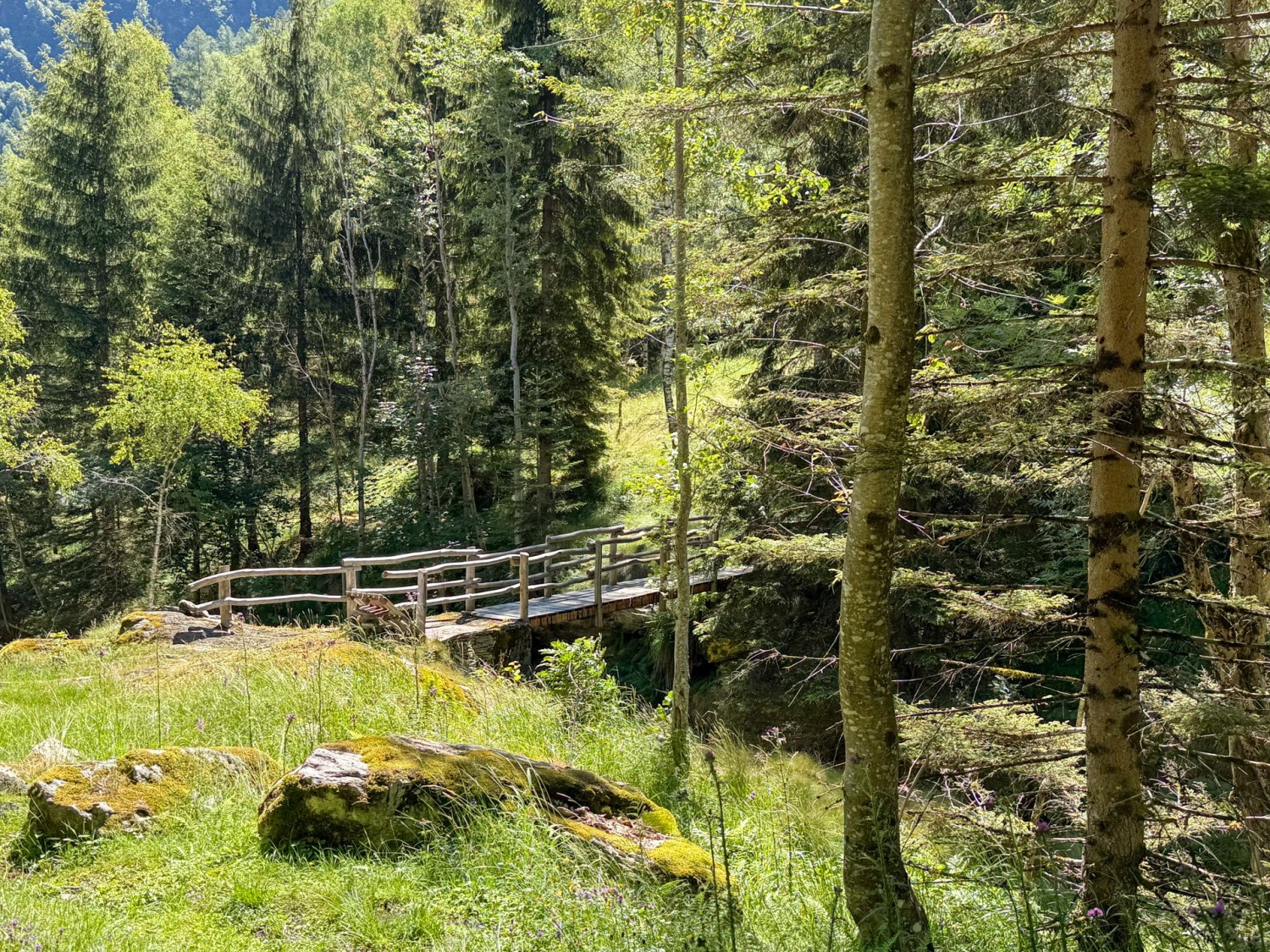Un pont de bois au-dessus du petit ruisseau de montagne Ri d’Arnau