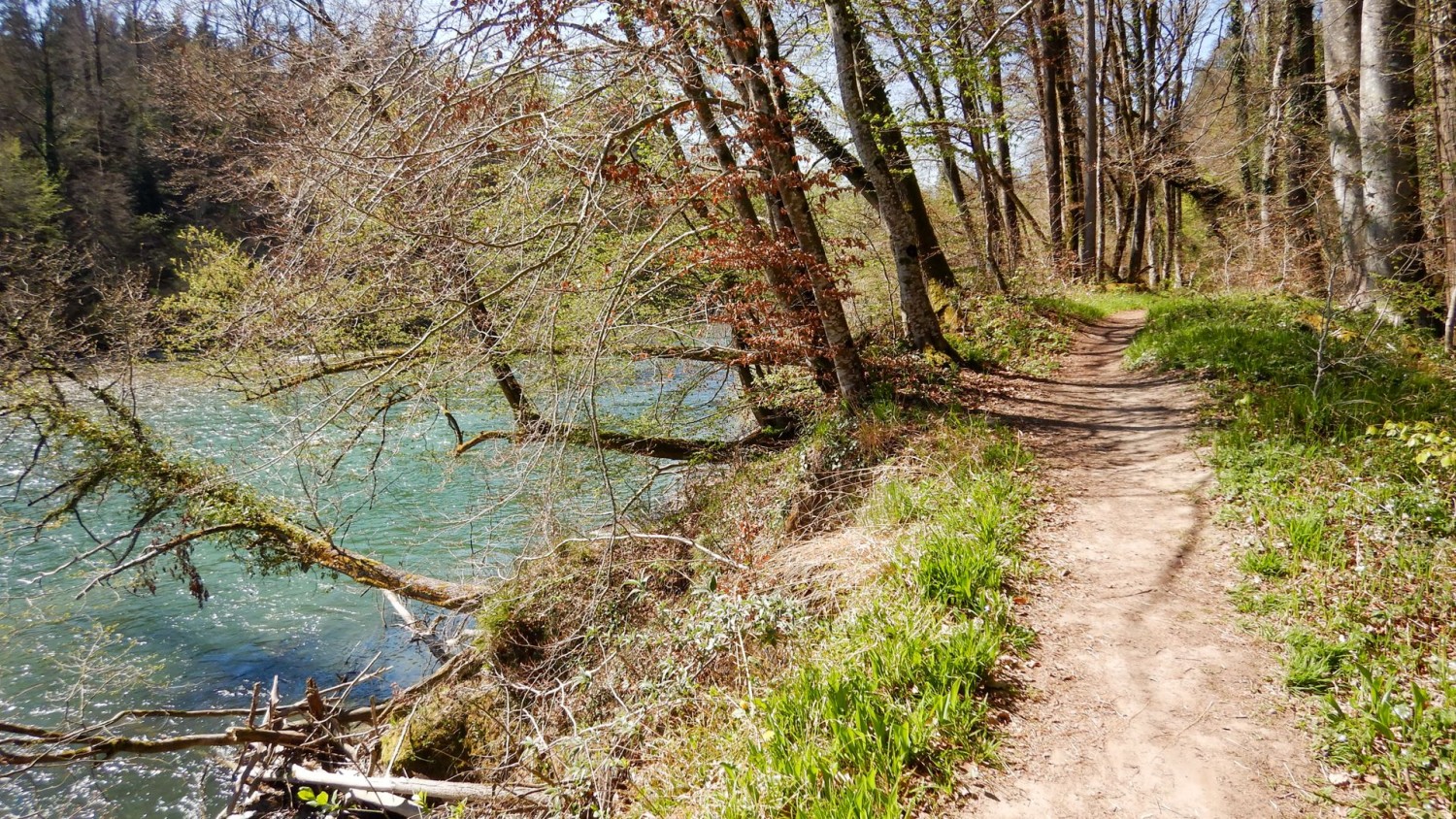 Die Wanderung bietet abwechslungsreiche Perspektiven auf die Flusslandschaft.
