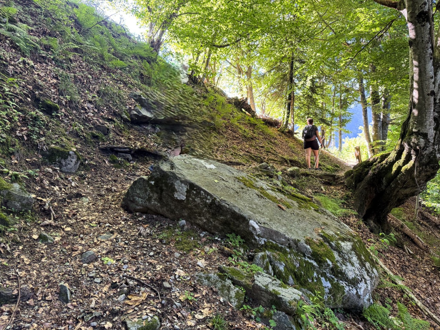 On grimpe sur des sentiers naturels.