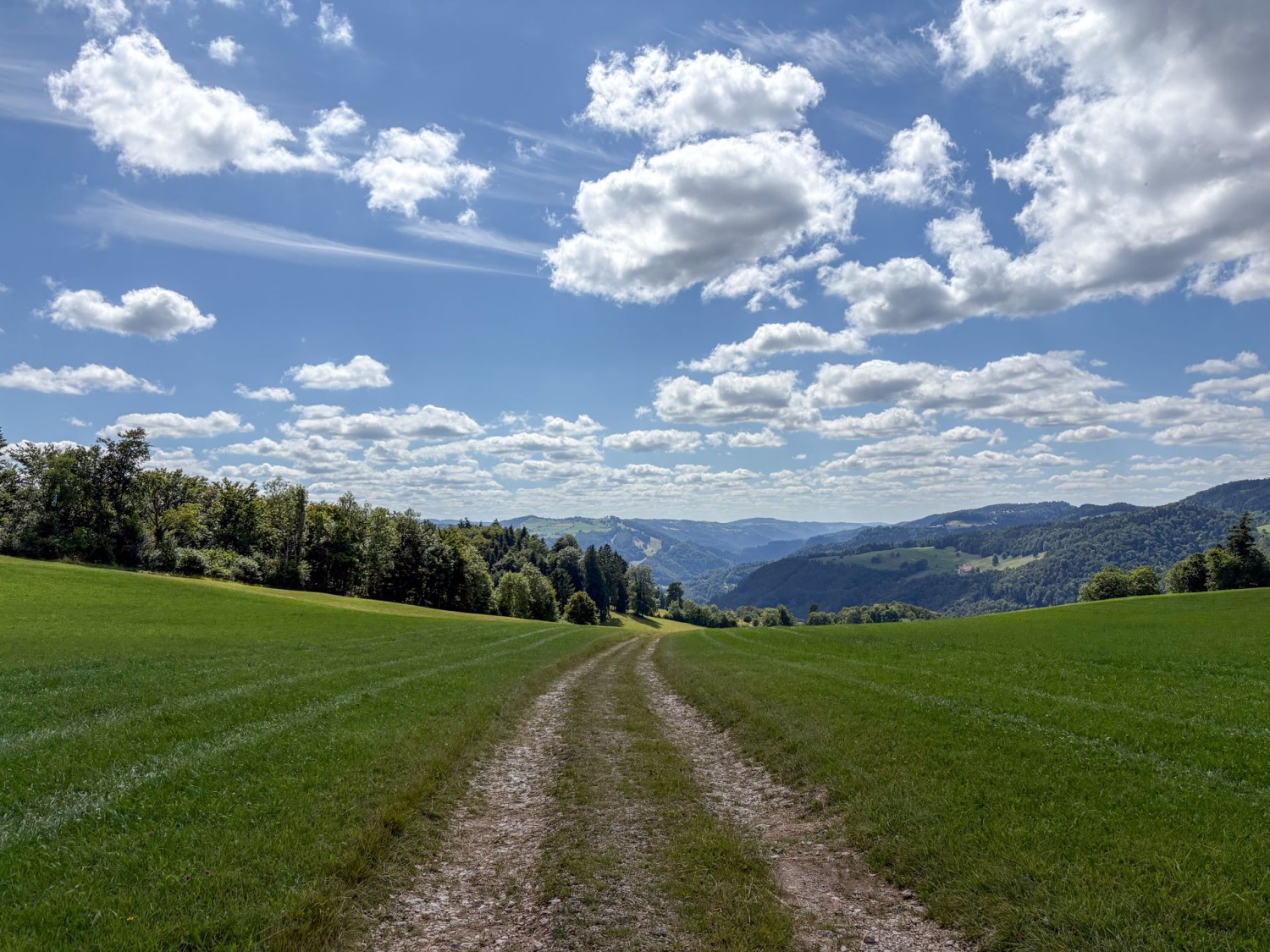 La descente se fait tranquillement à travers les pâturages du Jura.