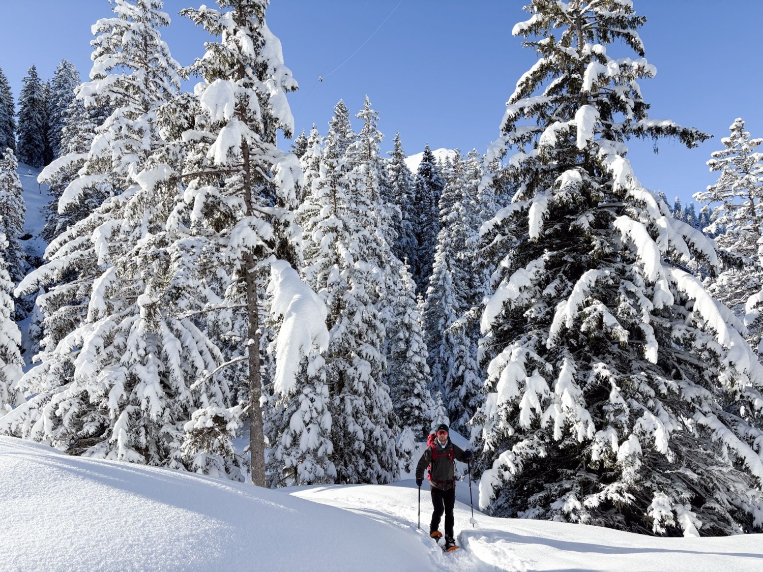 Unterwegs erwartet einen viel Stille.