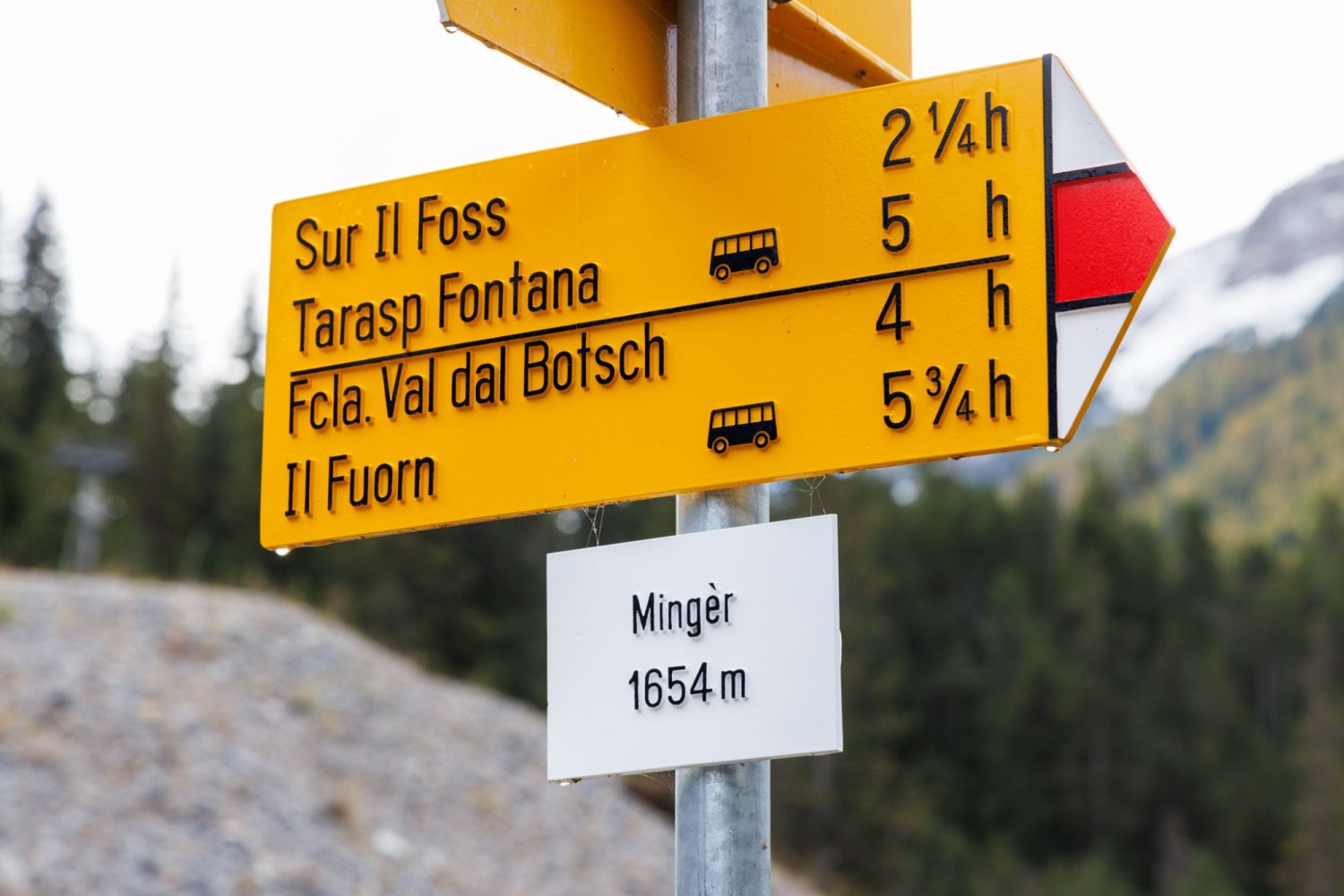 Zur Hirschbrunft ins Val Mingèr