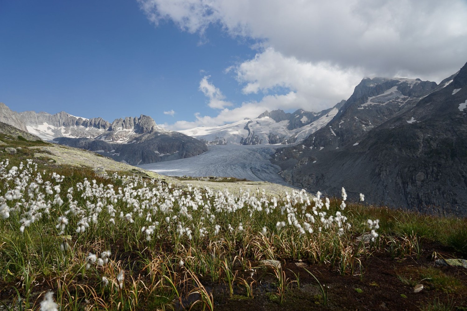 Der Blick auf den Rhonegletscher vom Wanderziel aus.