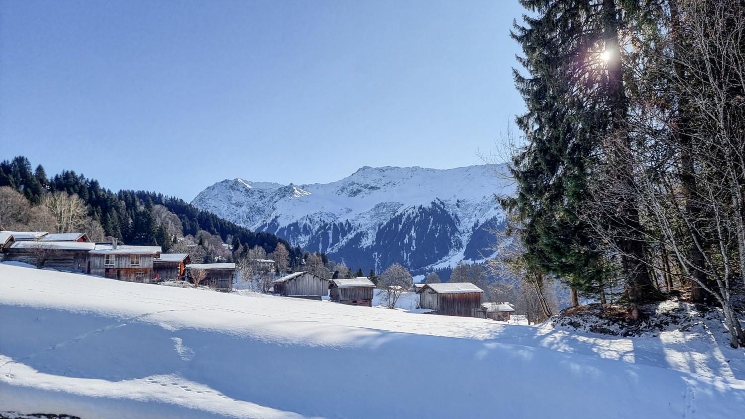 Verschneite Landschaft zwischen Mura und Pardels