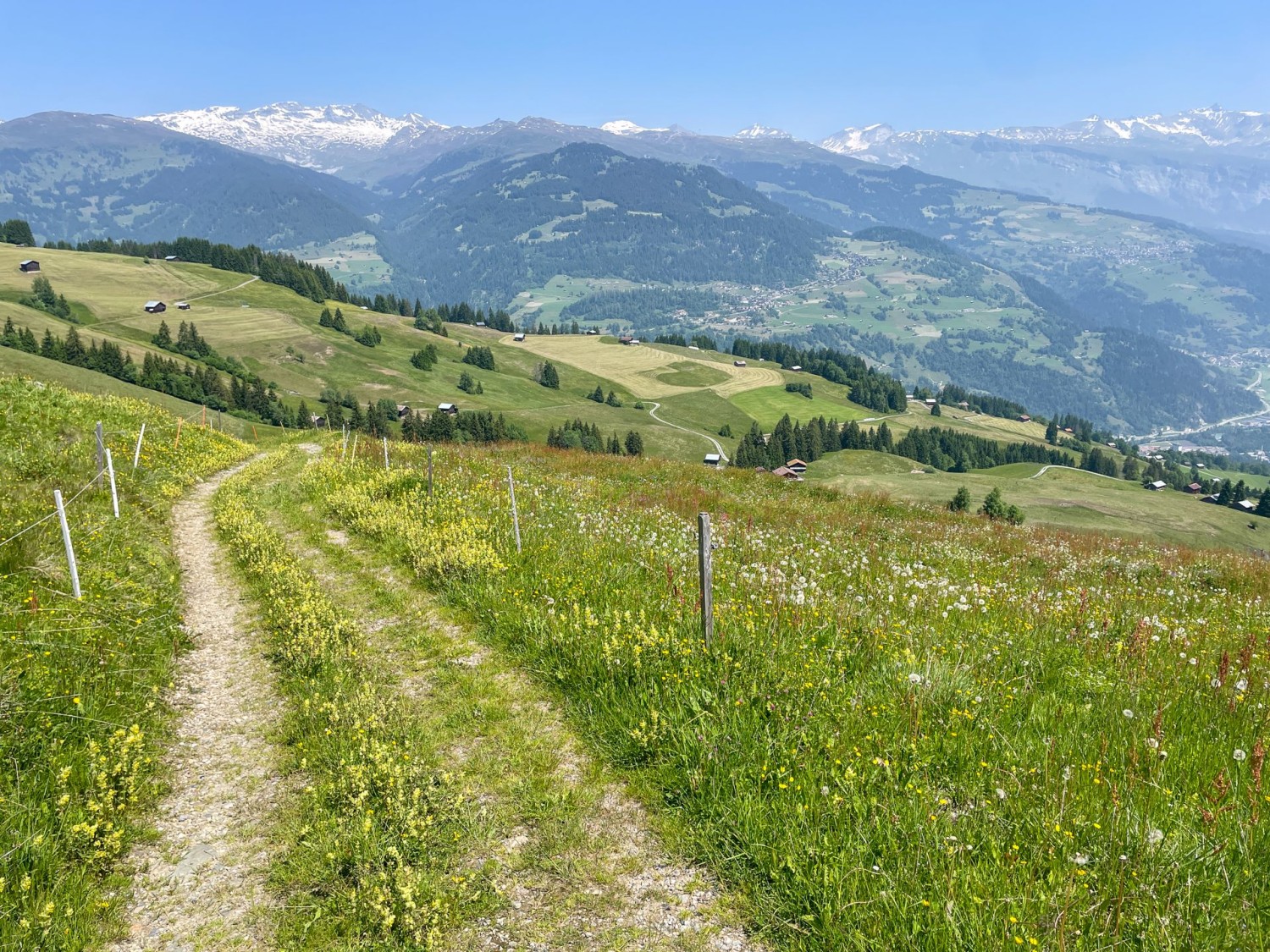 Aufstieg durch Blumenwiesen.