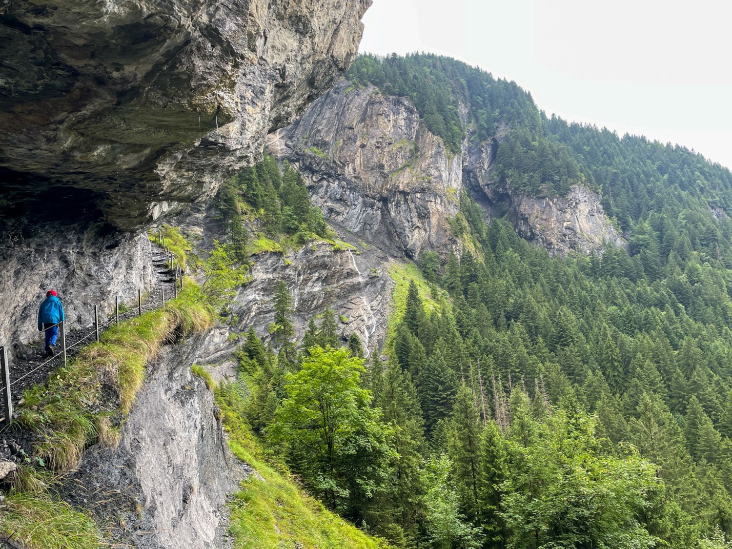Malgré la clôture, il ne faut pas avoir le vertige pour monter à l’alpage.