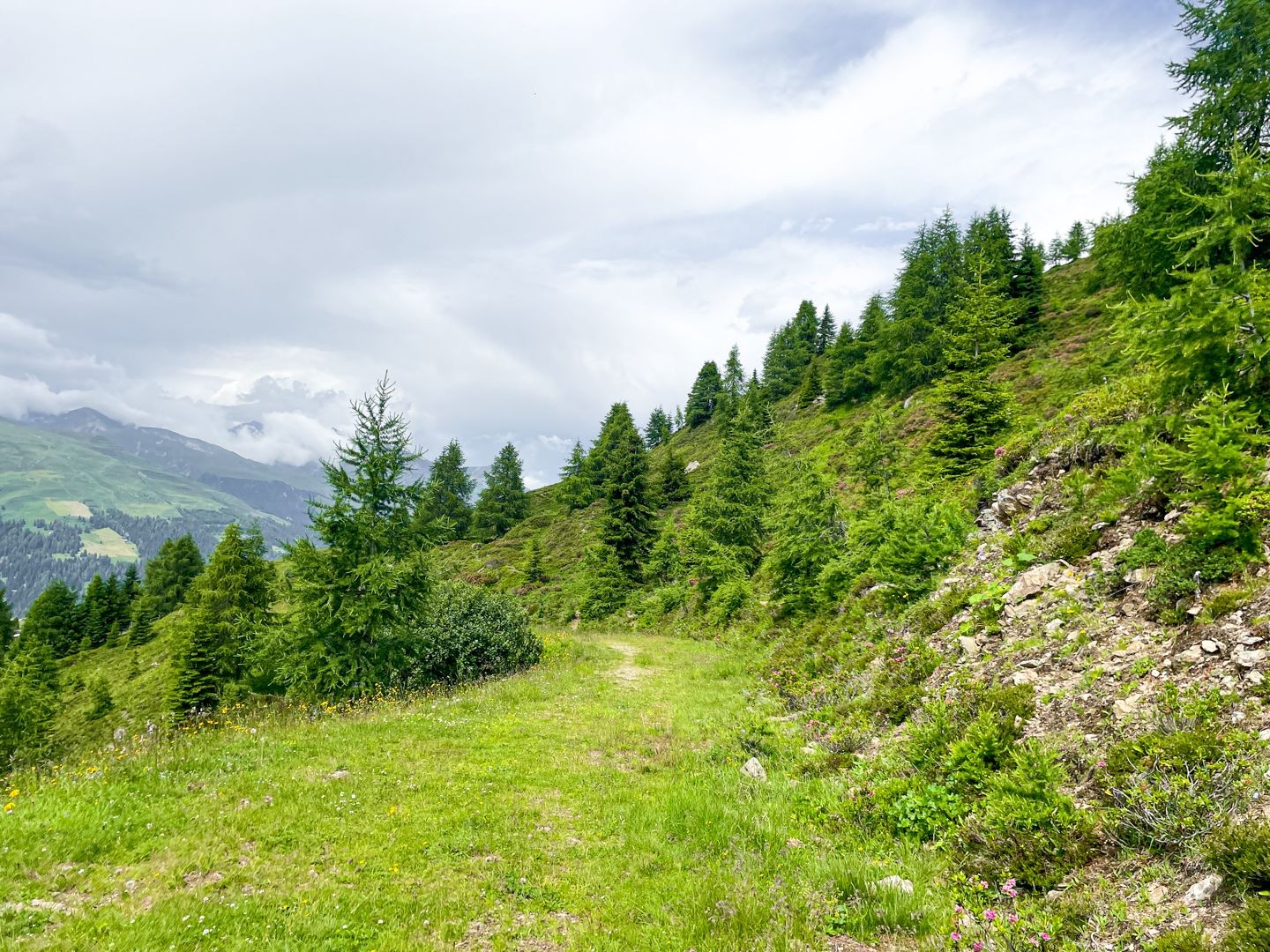 Je näher am Ende, desto mehr Vegetation.