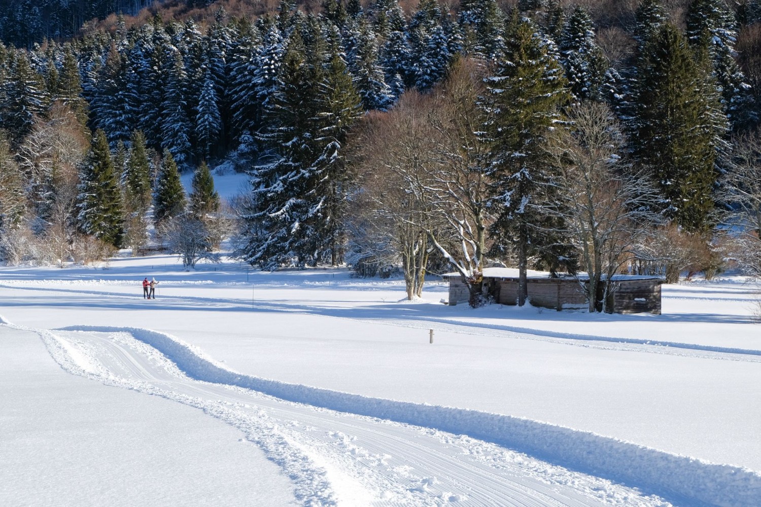 In der Ebene von Prés Vaillons sind auch Langläufer unterwegs.