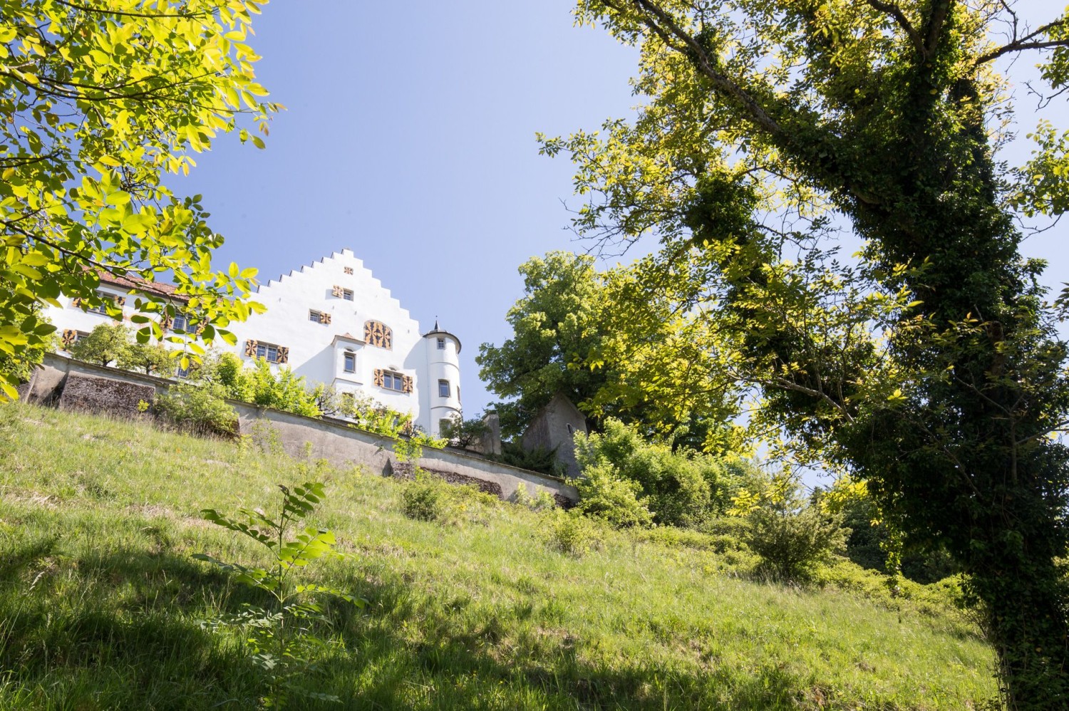 Im Thurgauer Garten von Karl dem Grossen