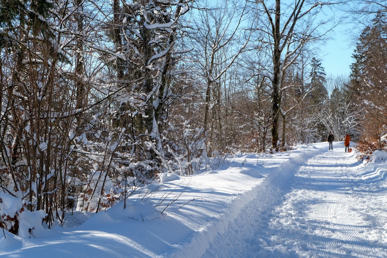 Der Weg im Wald bei Nods ist grosszügig angelegt. Da lässt sich vortrefflich winterwandern.