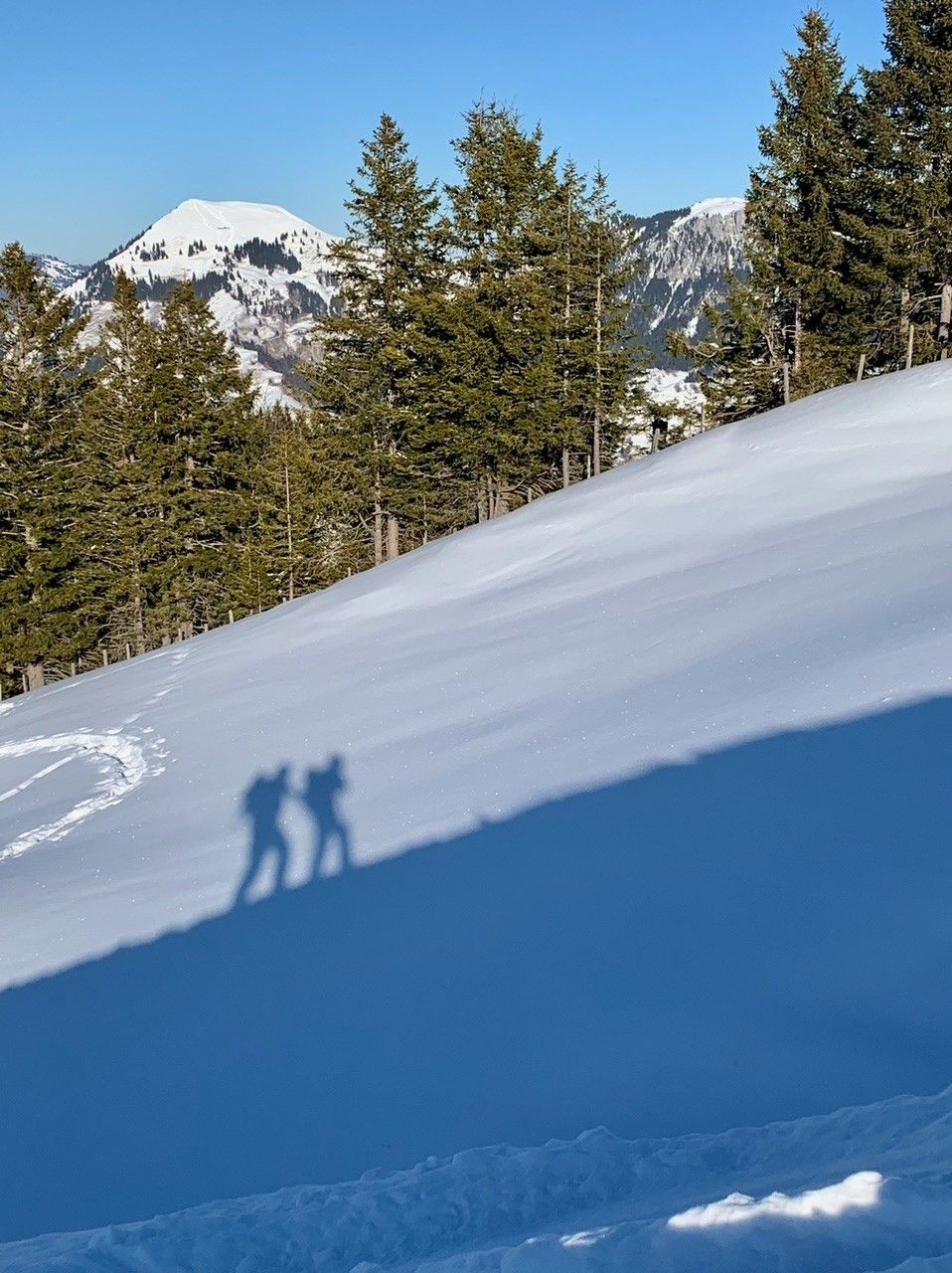 Foto: M. Grossrieder