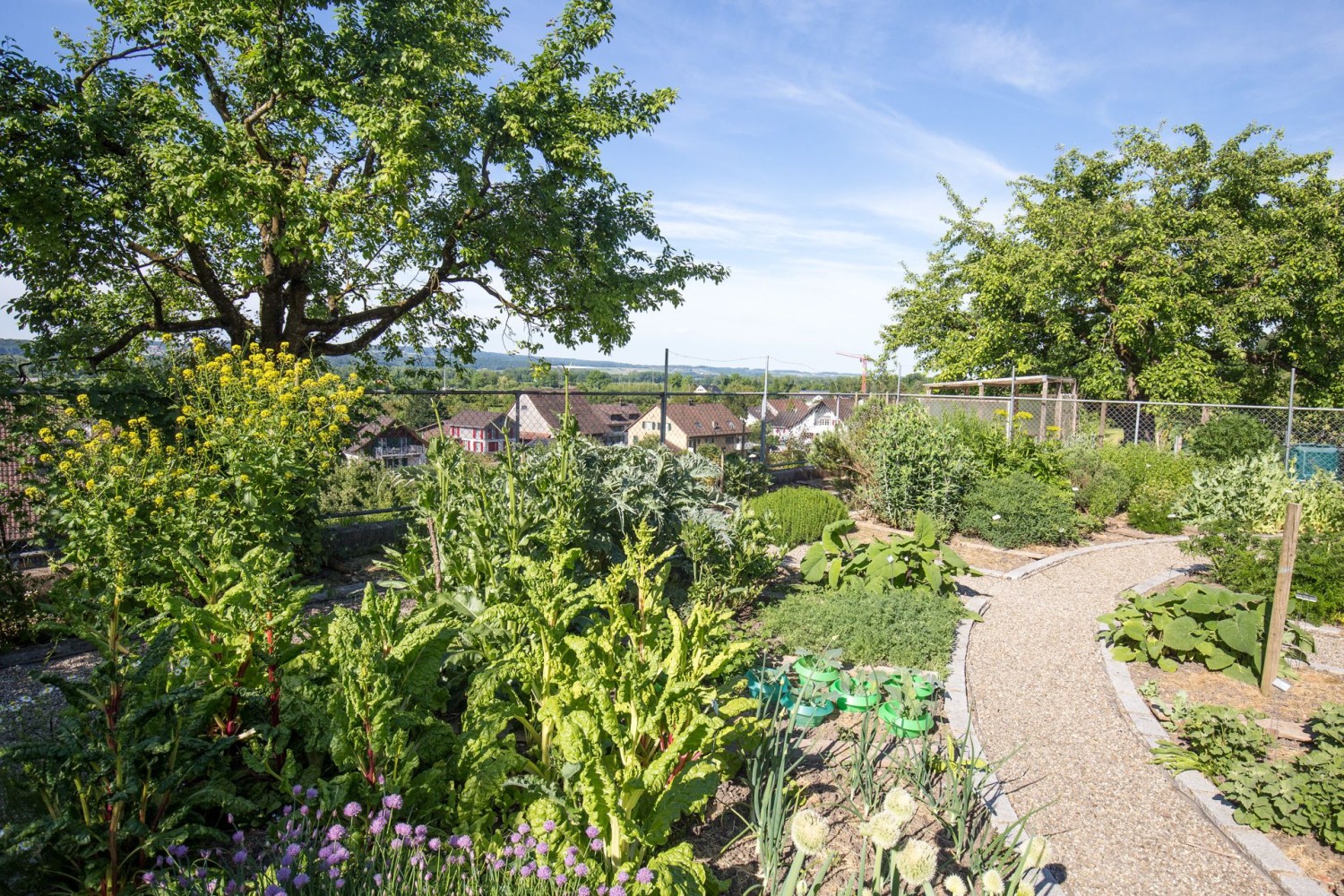 Der Karlsgarten Mettendorf, angelegt nach Ideen von Karl dem Grossen.