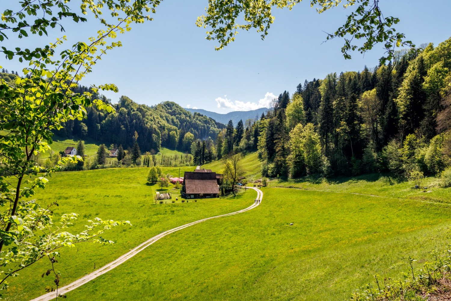 Am Übergang von der Moränenlandschaft Menzingen zum Sihlsprung ändert die Landschaft ihren Charakter.