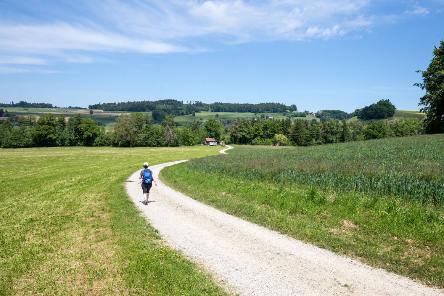 Zwischen Getschhuuserweier und Lustdorf ist gemütliches Wandern angesagt.