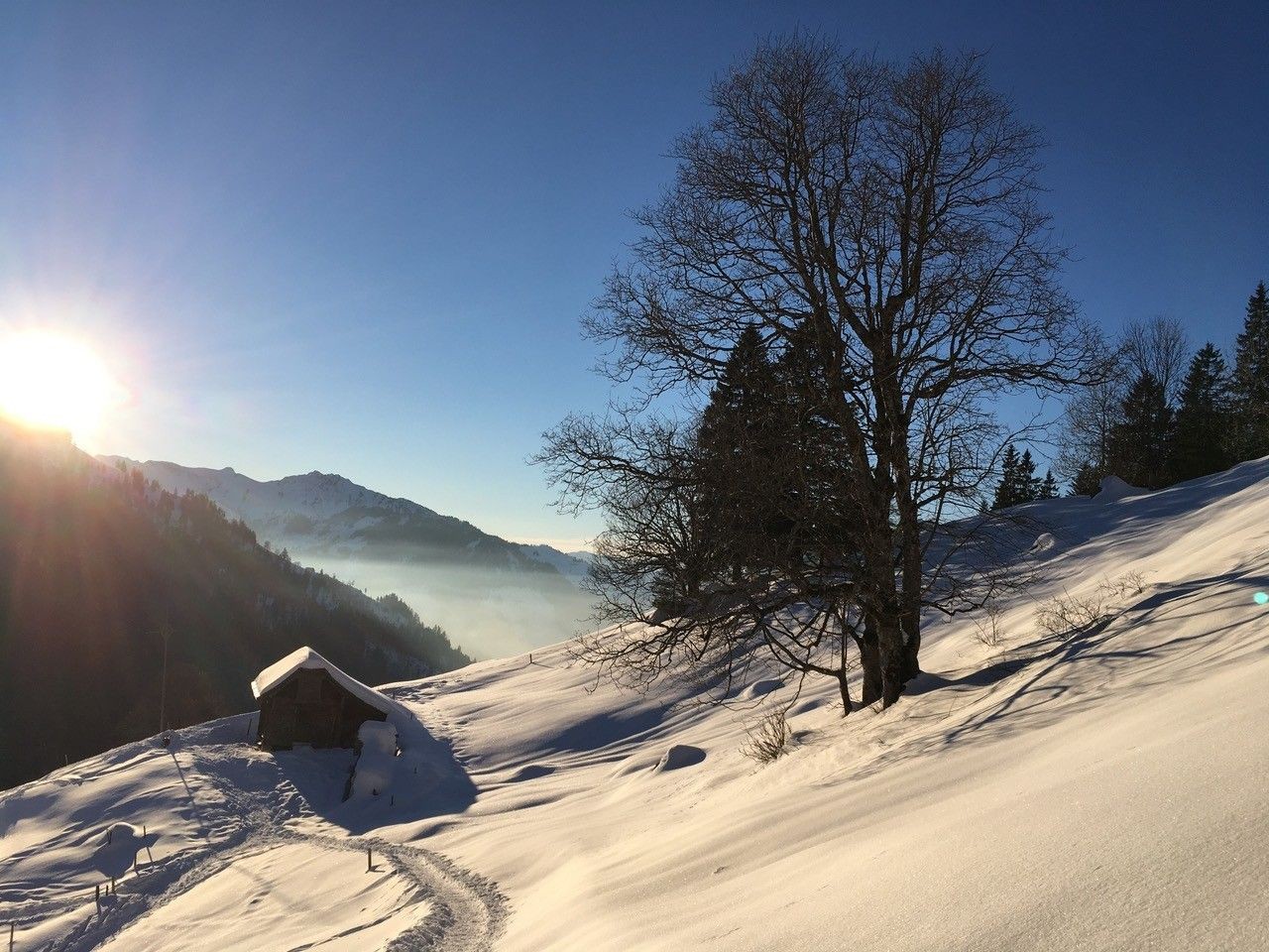 Foto: M. Grossrieder