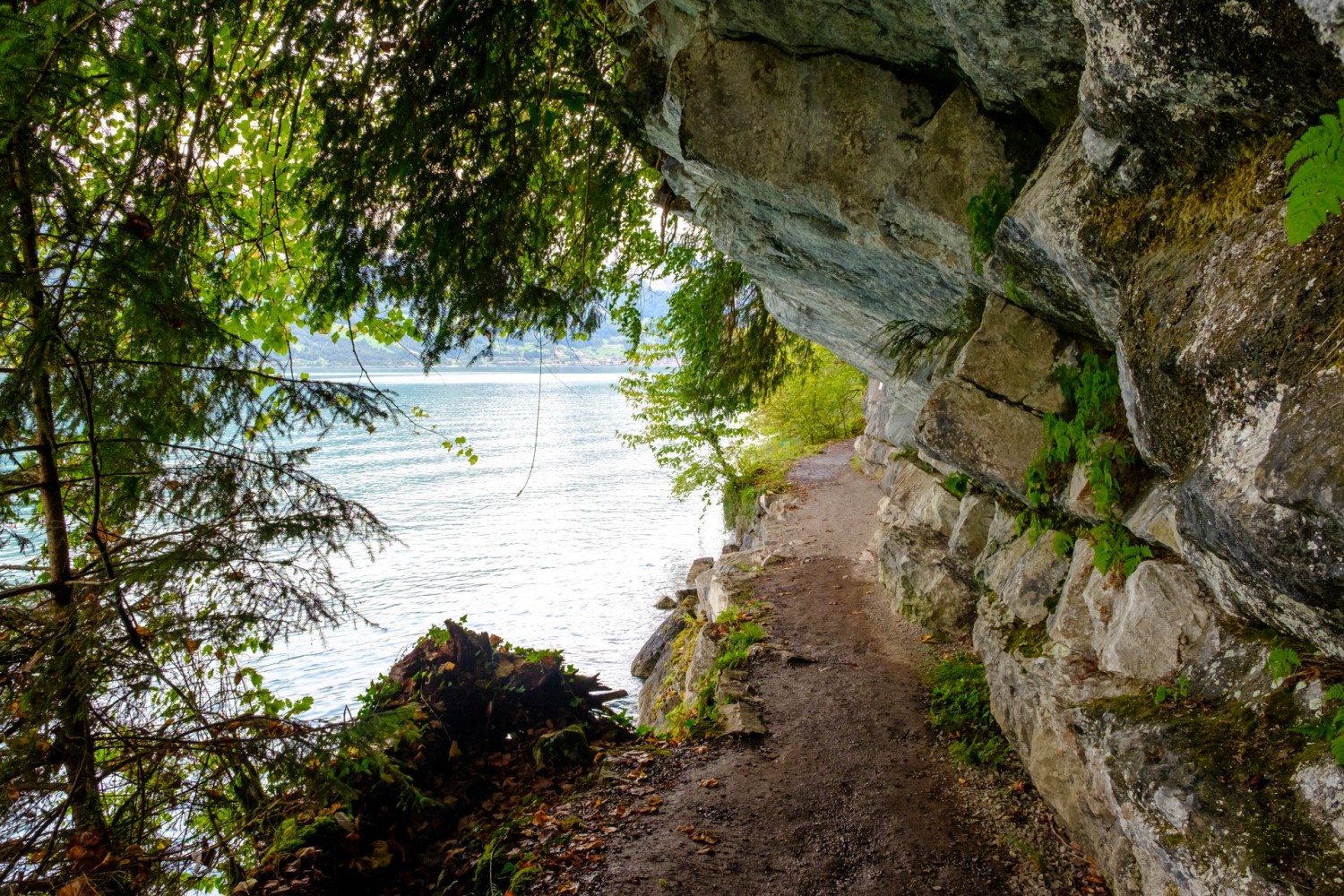 Le sentier lacustre revient ensuite au plus près du lac de Brienz.