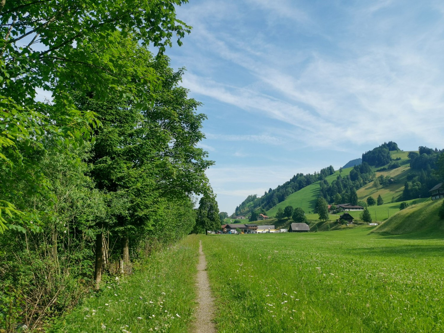 Un sentier rectiligne le long de la rivière Waldemme.