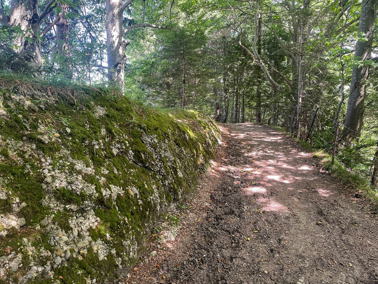 Là où la roche est visible, on reconnaît du nagelfluh.