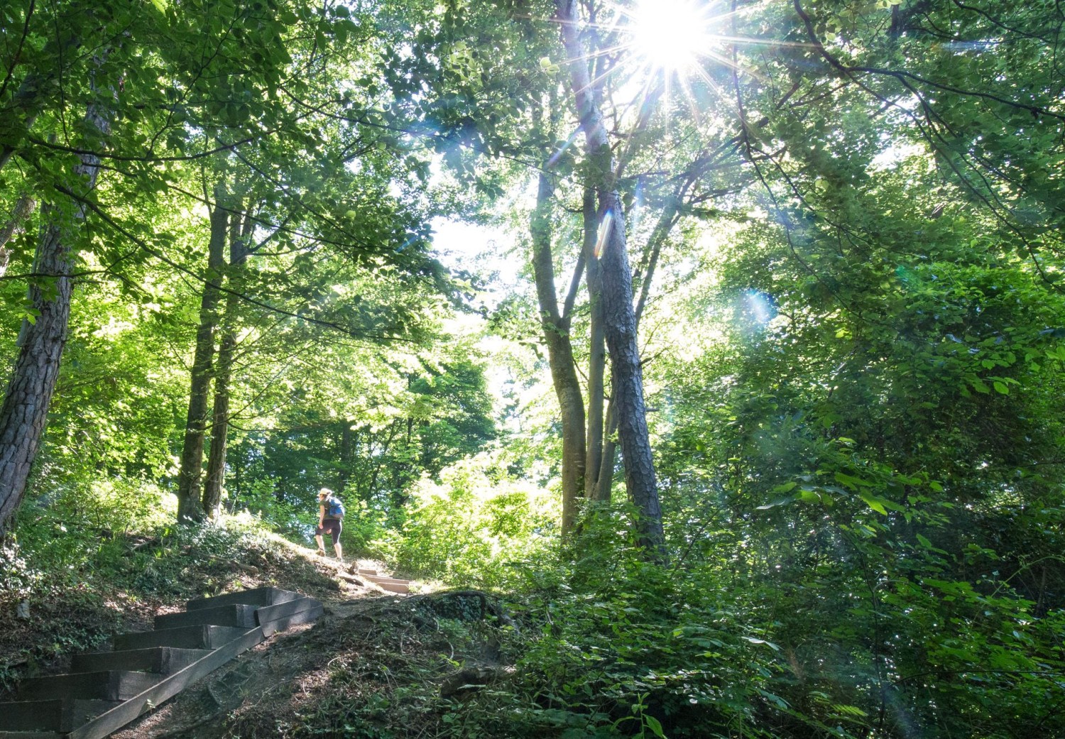 Der Aufstieg zum Schloss Sonnenberg ist kurz und steil.