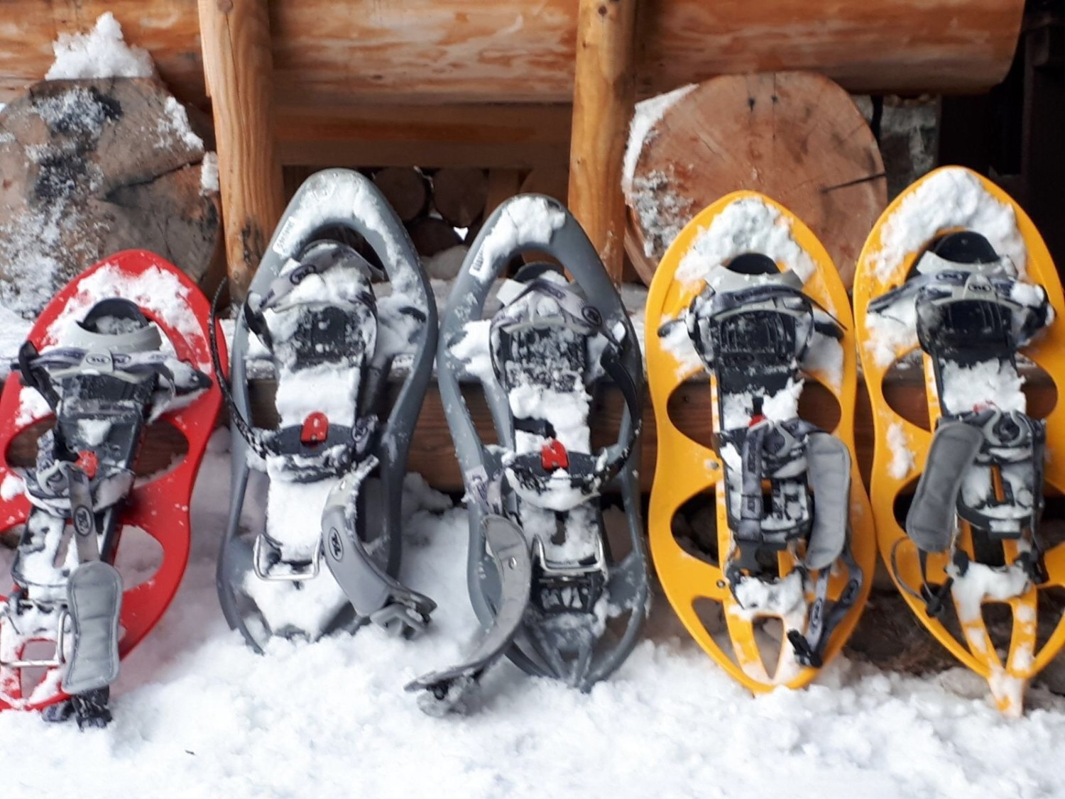 ©Nicole Trautvetter