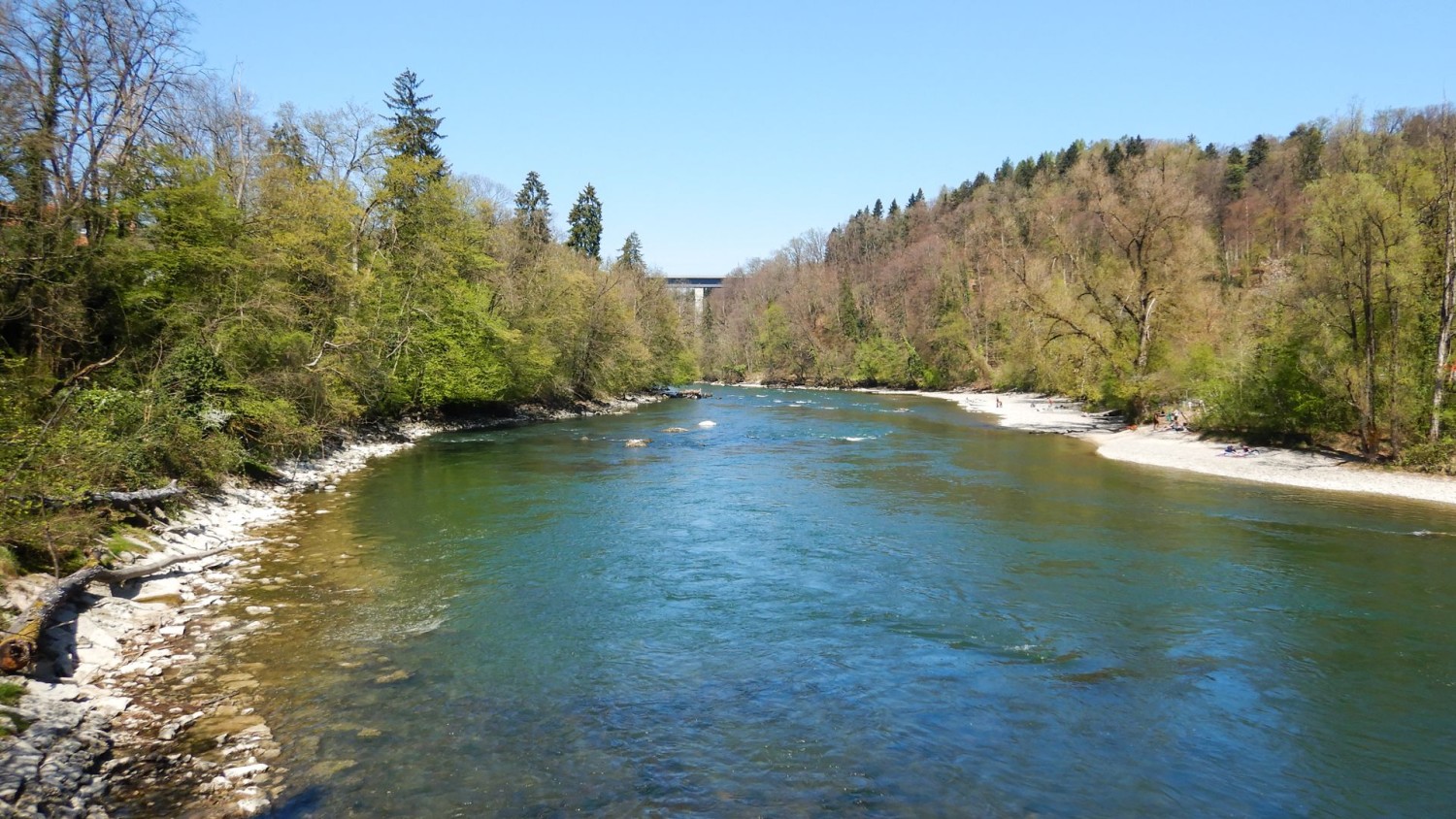 Blick auf die Reuss von der Fussgängerbrücke bei Büblikon.