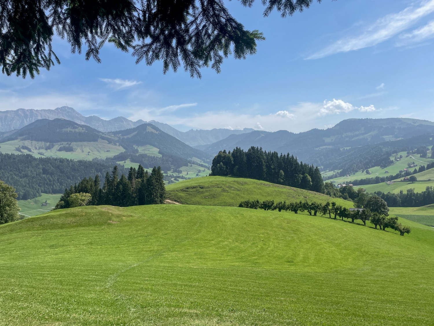 En montant, peu après Urnäsch, vue sur le Säntis et les sommets du Toggenburg.