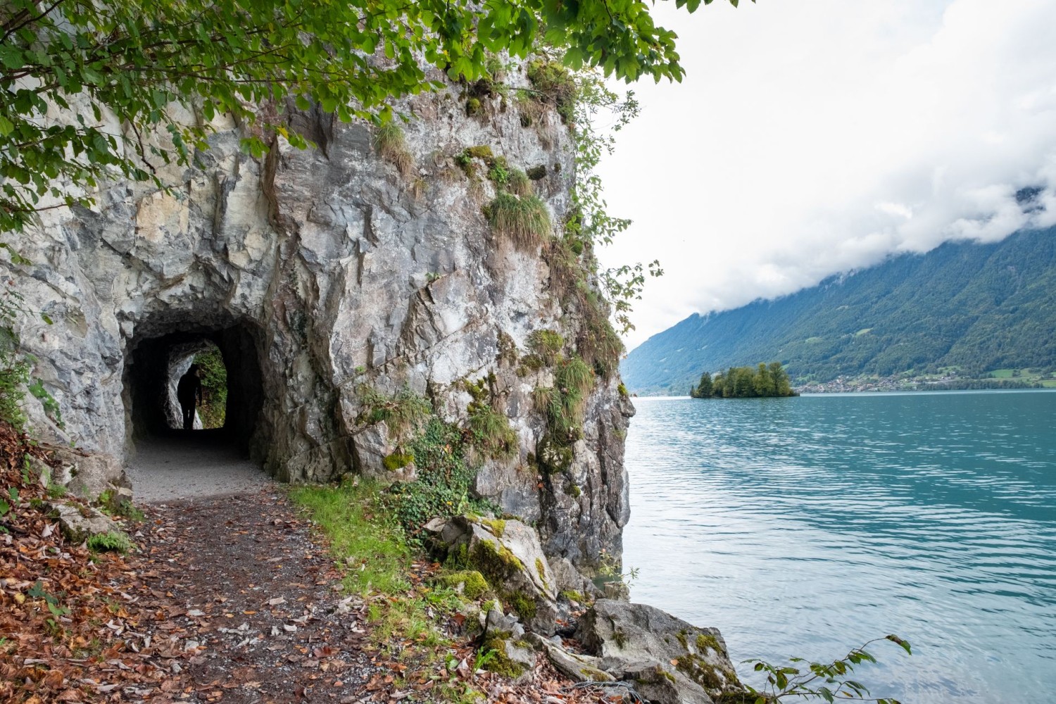 Peu avant Iseltwald, le chemin emprunte un tunnel pour piétons.