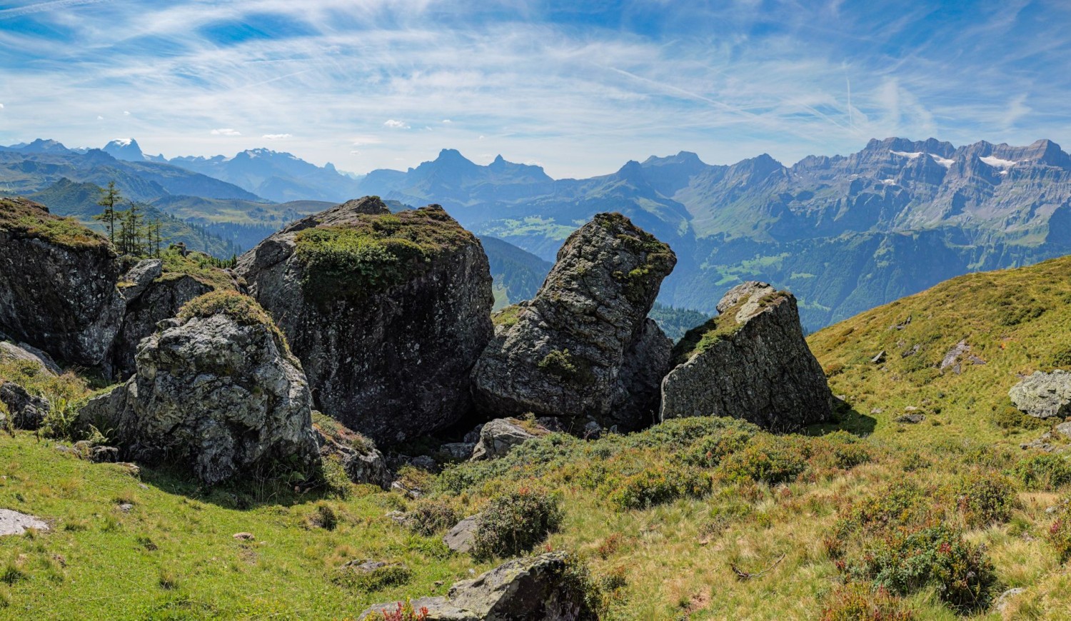 D’énormes rochers ont dévalé du Gandstock aux pâturages près de Nideren-Gandbütz. Tout à gauche, le Tödi; tout à droite, le Glärnisch.