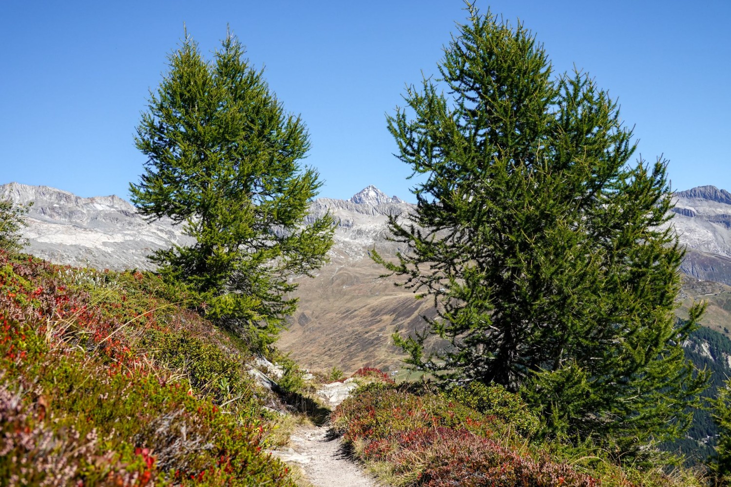 On ne risque pas de s’ennuyer lors de l’ascension grâce à la vue imprenable sur les imposantes montagnes, ici l’Aletschhorn.
