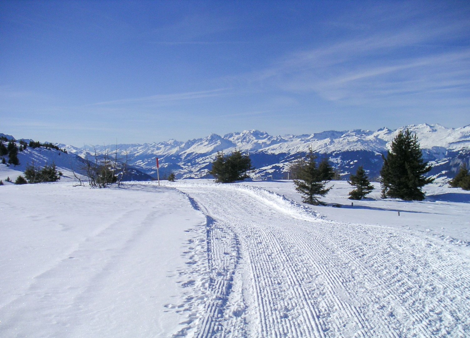 Nordseite des Panorama-Rundwanderwegs mit Aussicht Richtung Vorderrheintal mit Flims/Laax und den Glarner Alpen mit dem Tödi.