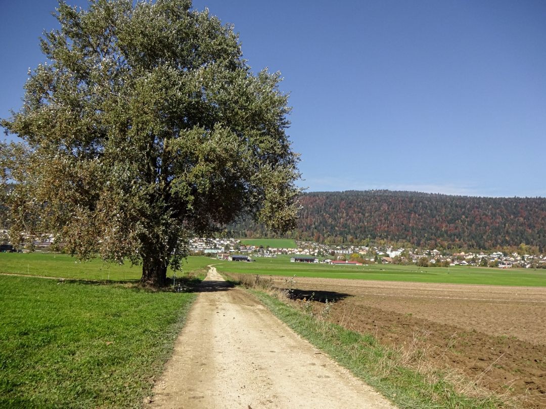 Quer durchs Val de Ruz