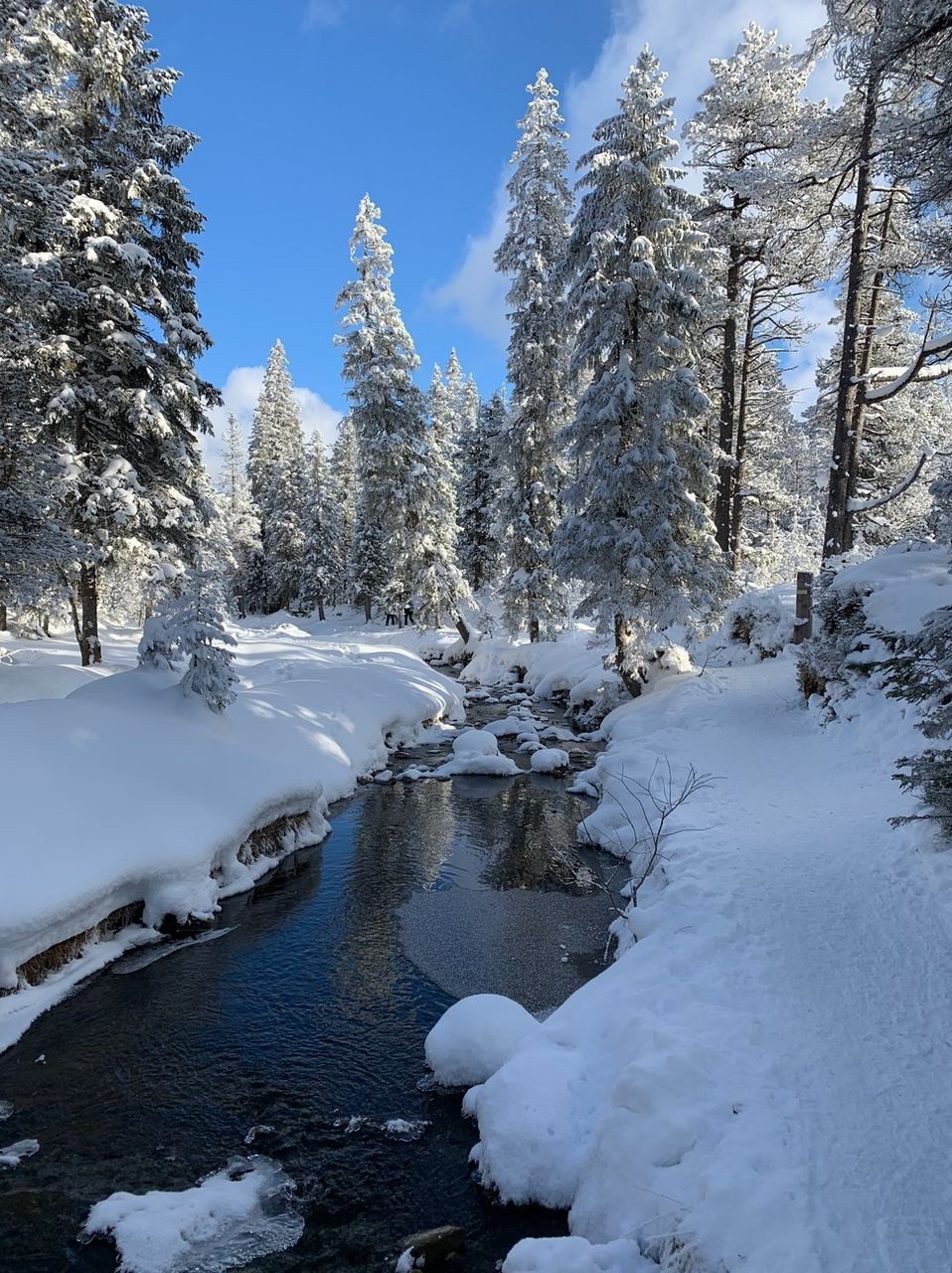 Foto: M. Grossrieder