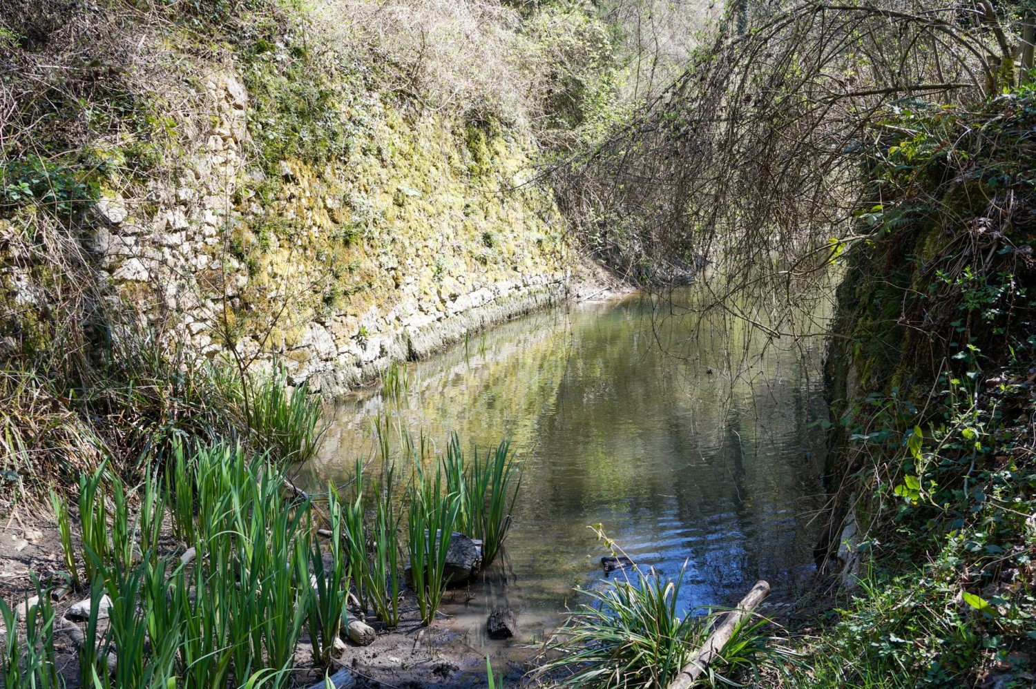 Creusé au XVIIe siècle, le canal d’Entreroches visait à relier un réseau de canaux entre la mer du Nord et la Méditerranée.
