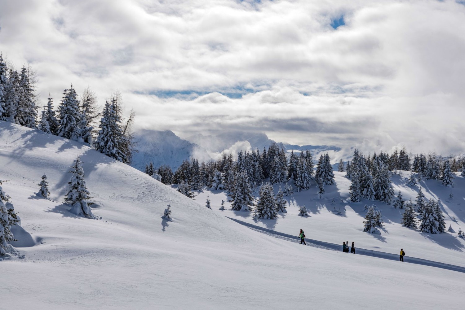 Besonders schön ist die Winterwanderung bei Neuschnee.