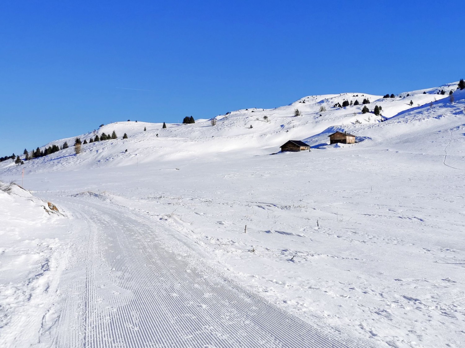 Auf der Alp dil Plaun.