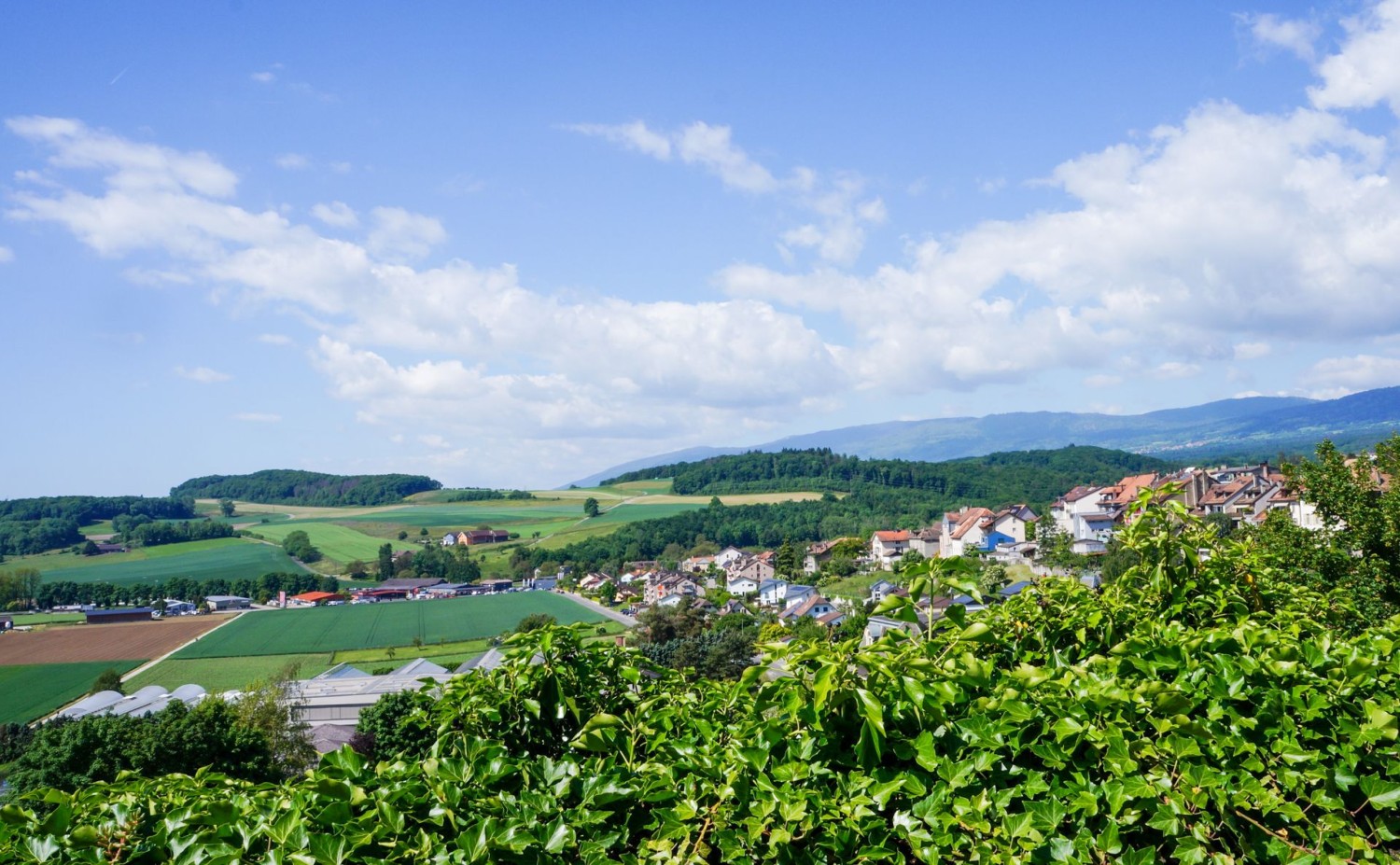 Vaste panorama depuis le chemin des Vignes