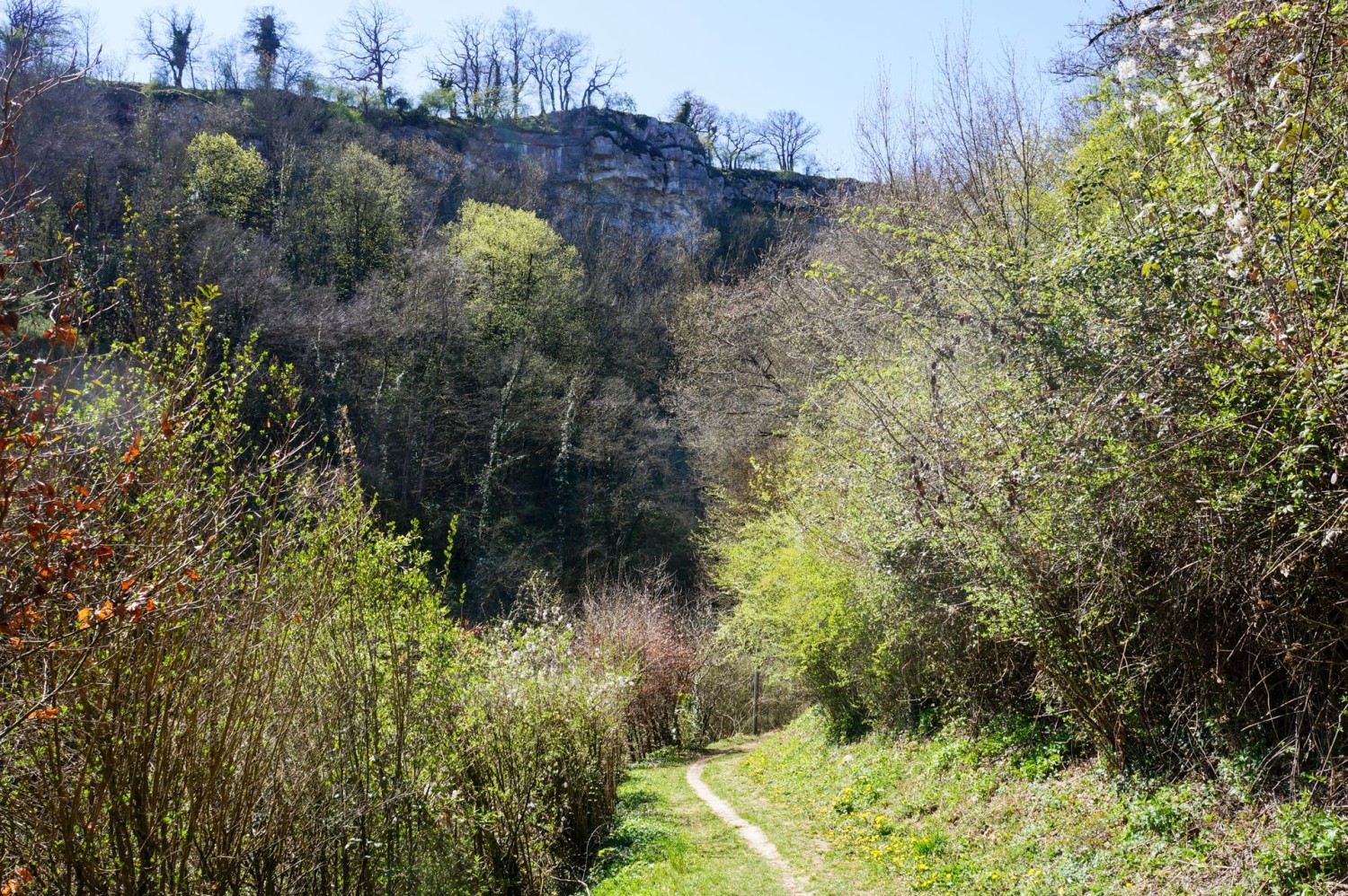 En quittant le canal d’Entreroches, on se retrouve face à la colline du Mormont.