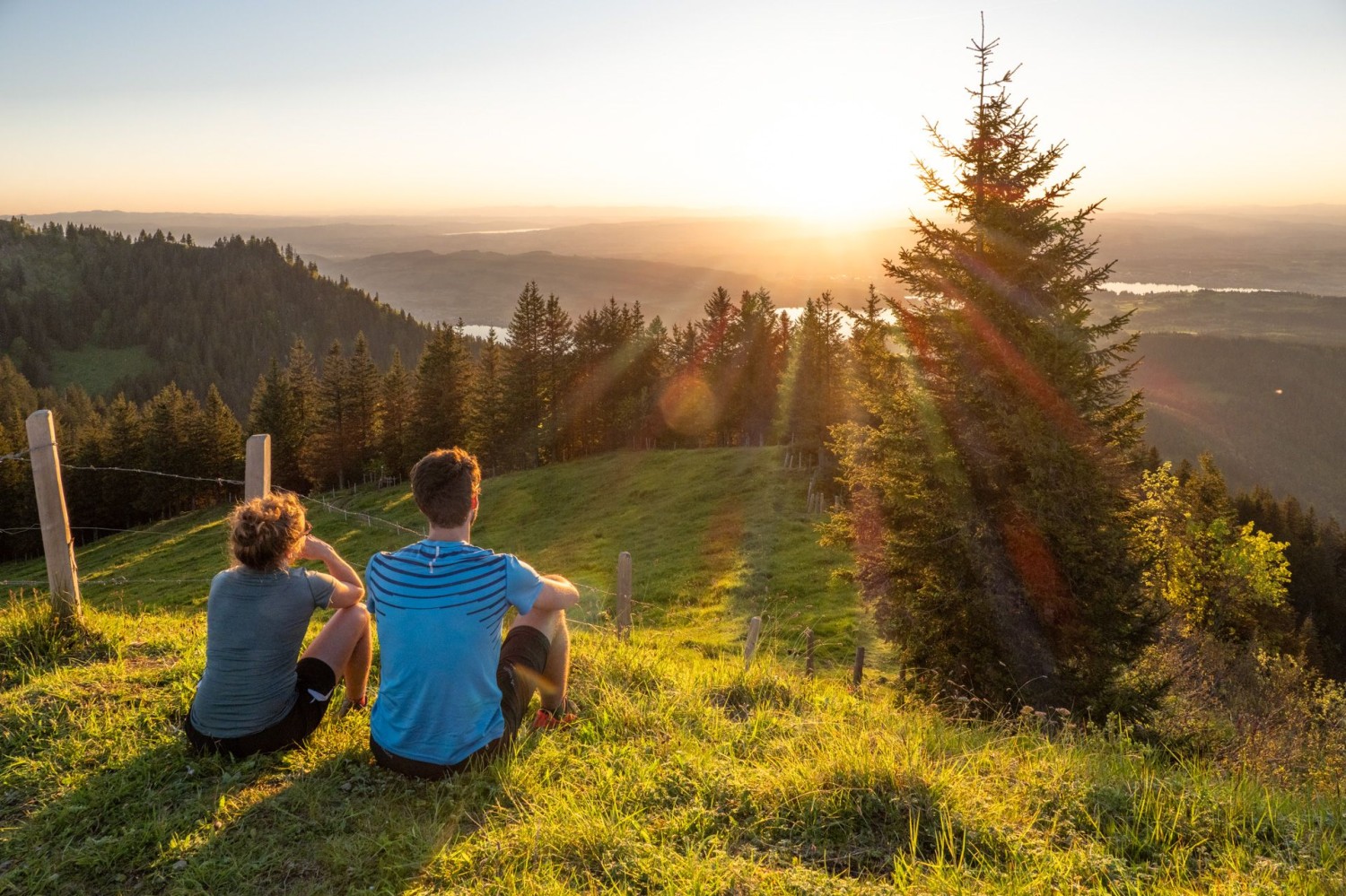 Coucher de soleil au Wildspitz. Le lac de Zoug scintille derrière les sapins.