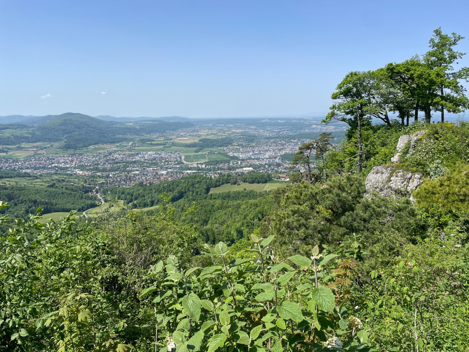 «Chriesibluescht» nahe des Gempen