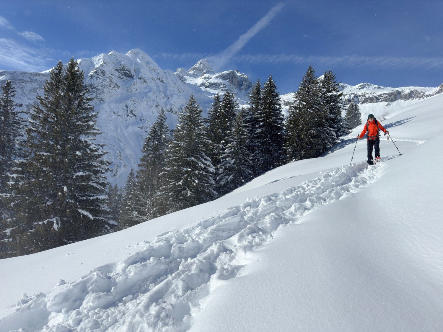 Bei der Wildbeobachtungsstation. Im Hintergrund der Gross Kärpf.